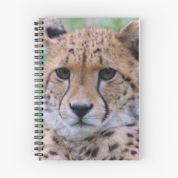 Item preview, Acinonyx jubatus designed and sold by Mythos57.