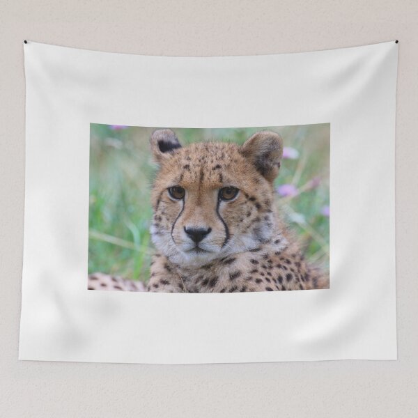 Item preview, Acinonyx jubatus designed and sold by Mythos57.