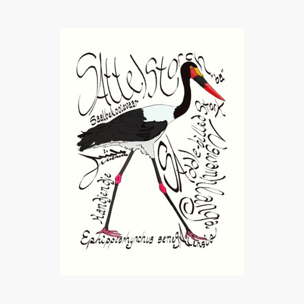 Saddle-billed Stork, Saalbekooievaar Art Print