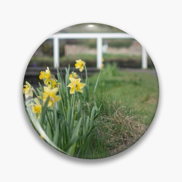 Item preview, Daffodils in Lower Slaughter designed and sold by cdkphotos.
