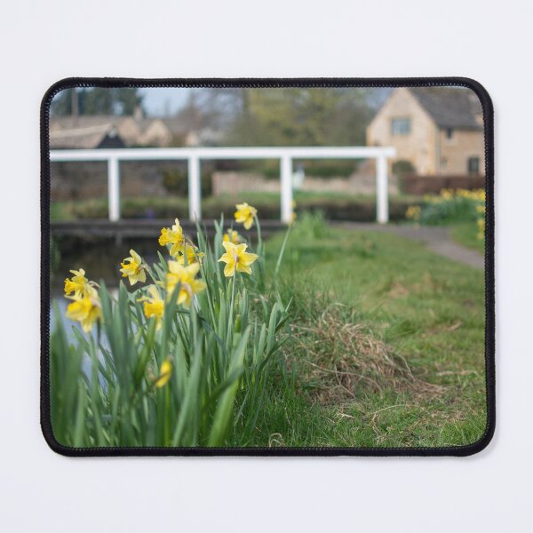 Item preview, Daffodils in Lower Slaughter designed and sold by cdkphotos.