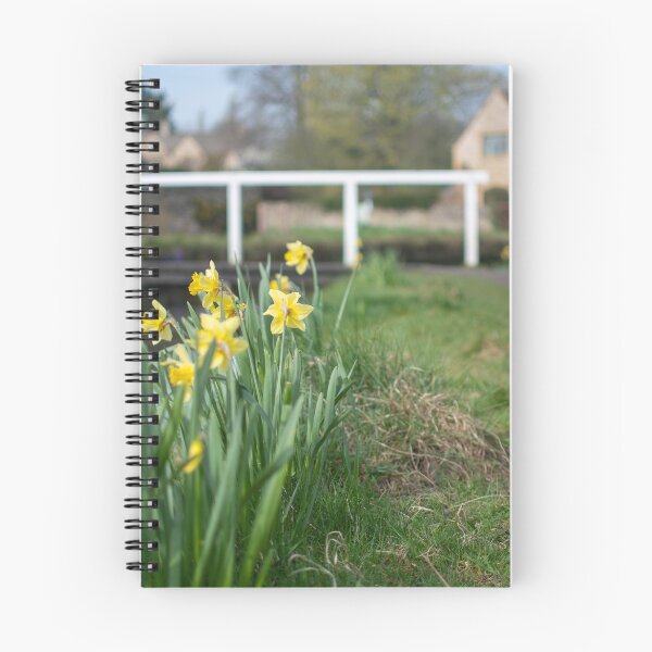 Item preview, Daffodils in Lower Slaughter designed and sold by cdkphotos.