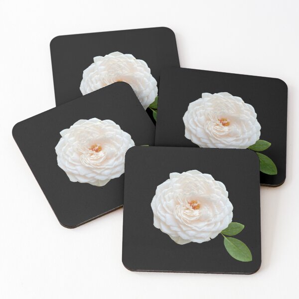 Item preview, white white rose designed and sold by MookTupnoy.