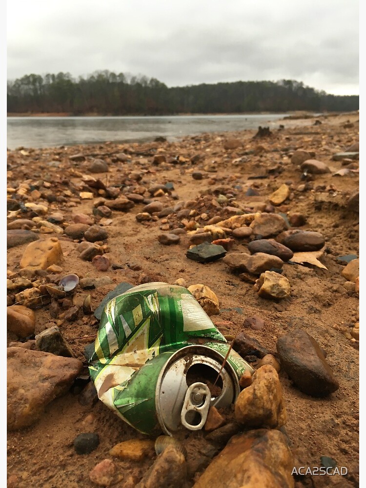 Ozark Can At Beach Lake Allatoona Man Vs Wild Woodstock Georgia Usa Art Board Print By Aca2scad Redbubble