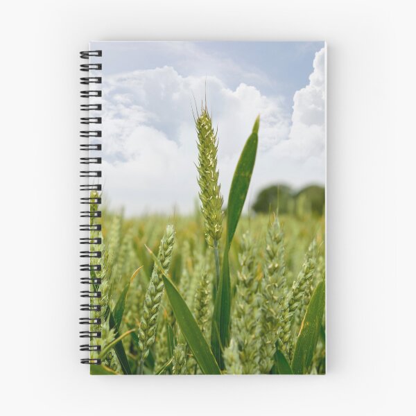 Item preview, barley crop designed and sold by morrbyte.