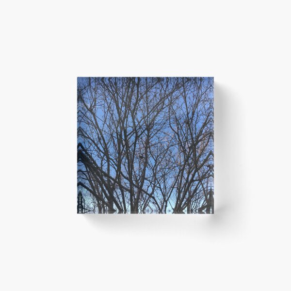 Item preview, Ozark Bare Tree  designed and sold by ACA2SCAD.