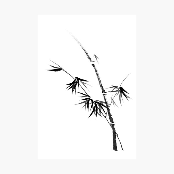 Impression Photo Bambou Tige Avec Des Jeunes Feuilles Minimaliste Sumi E Japonais Peinture Zen Art Artwork Imprimer Par Awenartprints Redbubble