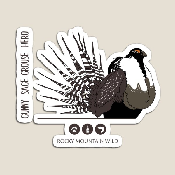 Gunny Sage-Grouse Hero Magnet