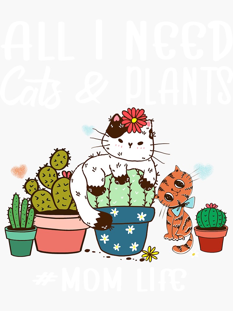 Regalos Para Amantes De Gatos: Guía Chilena 2025