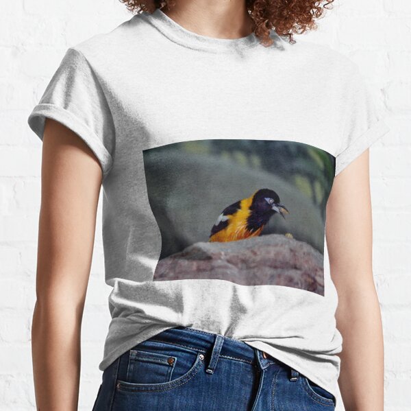  Vintage Oriole Bird' Amazing Bird Gift Shirt : Clothing, Shoes  & Jewelry