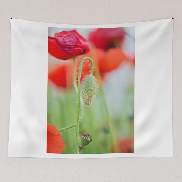 Item preview, Past, present and future designed and sold by anytka.