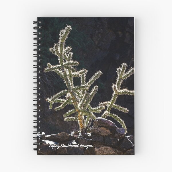 Item preview, Cholla Cactus, Dripping Springs, NM designed and sold by William E Lopez.