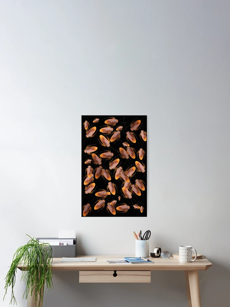 Thumbnail 2 of 3, Poster, Cockroach Infestation designed and sold by Slinky-Reebs.