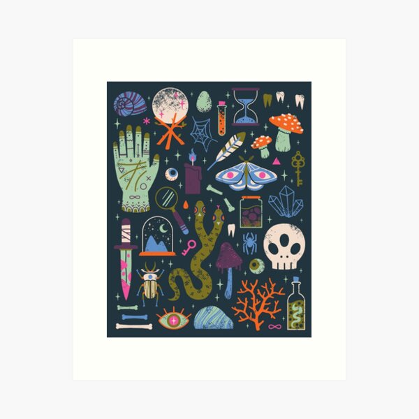 Curiosities Art Print