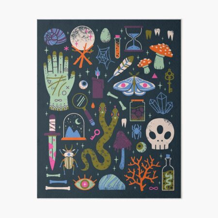 Curiosities Art Board Print