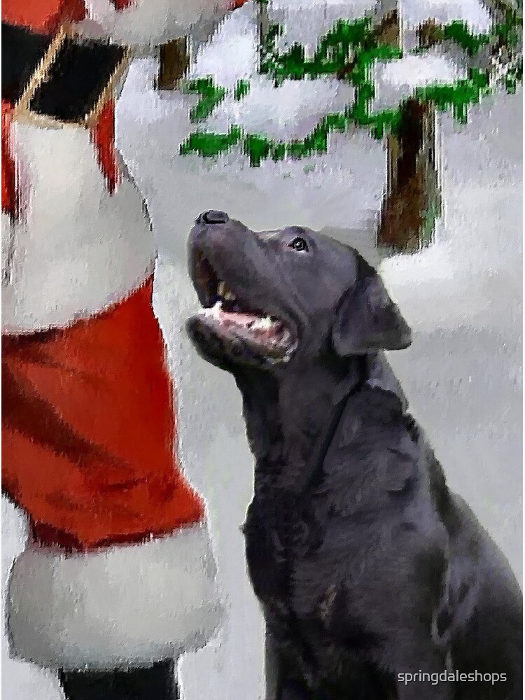 Black labrador hotsell christmas gifts