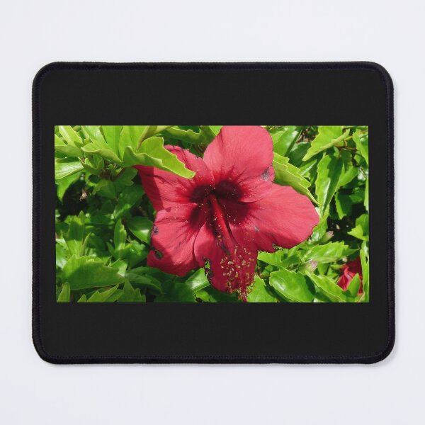 Item preview, Dark red Hibiscus designed and sold by Merlinatia.