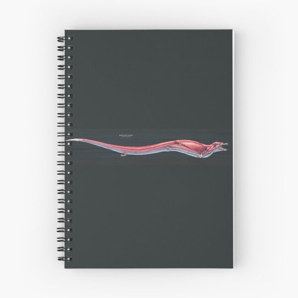 Item preview, Basilosaurus Cetoides Muscle Study designed and sold by Thedragonofdoom.