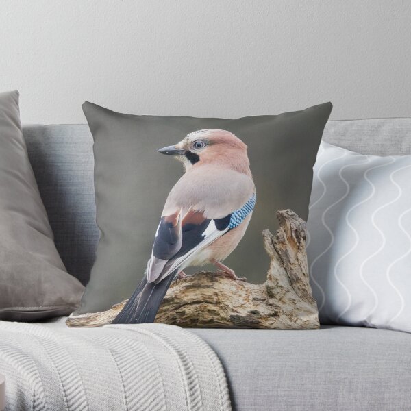 Eurasian Jay #1 Throw Pillow