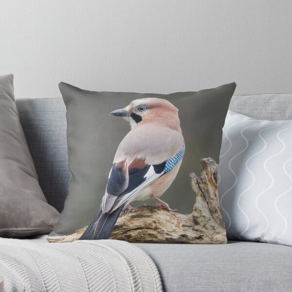 Item preview, Eurasian Jay #1 designed and sold by Dominika Aniola.