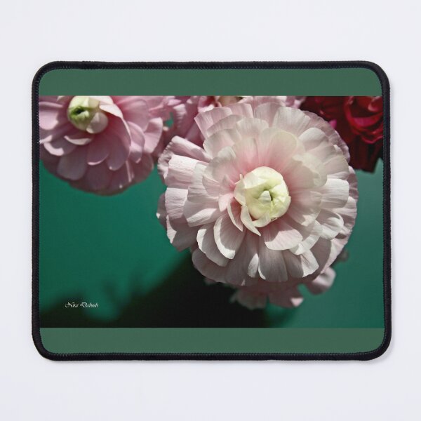 Item preview, SoftNESS - Delicate Moments designed and sold by Nira Dabush.