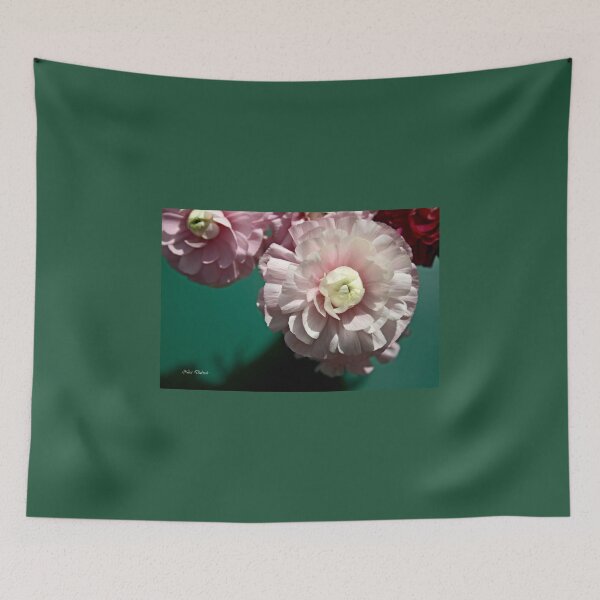 Item preview, SoftNESS - Delicate Moments designed and sold by Nira Dabush.