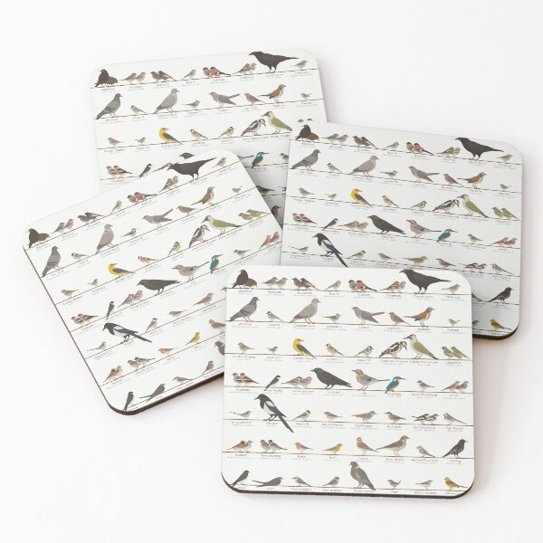 Item preview, European Songbird or Garden Bird Identification ID Chart designed and sold by Iris Luckhaus.