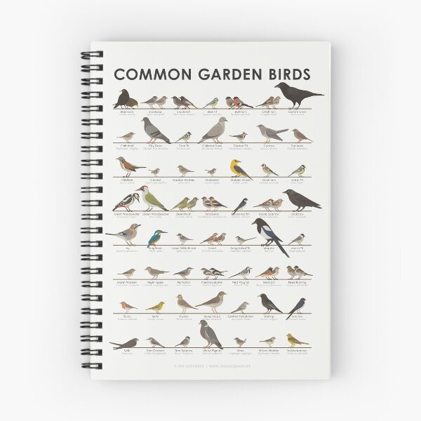 Item preview, European Songbird or Garden Bird Identification ID Chart designed and sold by Iris Luckhaus.