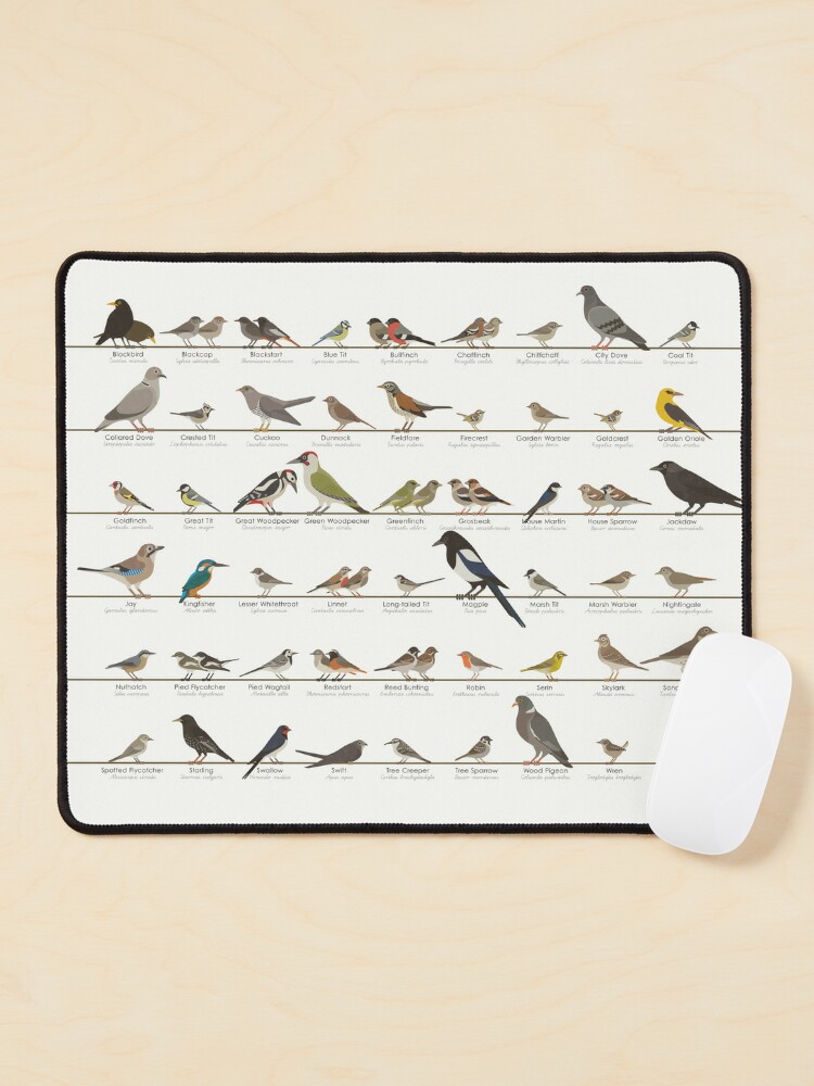 European Songbird or Garden Bird Identification ID Chart | Mouse Pad