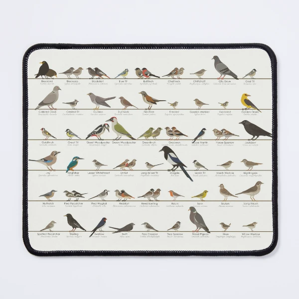 Round Mouse Mat - Blue Tit Bird Small English Garden Birds Office