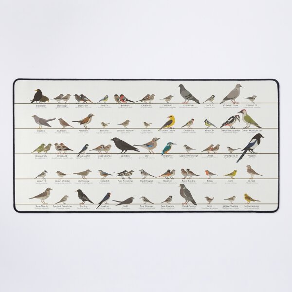 Item preview, European Songbird or Garden Bird Identification ID Chart designed and sold by Iris Luckhaus.