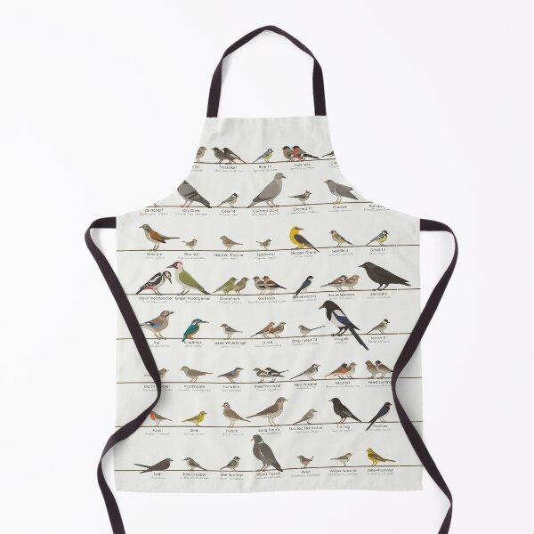 Item preview, European Songbird or Garden Bird Identification ID Chart designed and sold by Iris Luckhaus.
