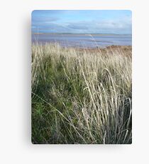 Salt Lake Canvas Print