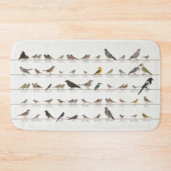Item preview, European Songbird or Garden Bird Identification ID Chart designed and sold by Iris Luckhaus.