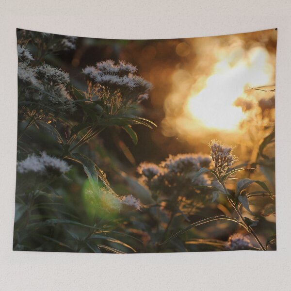 Item preview, Holy Rope at Sunset designed and sold by cuprum.
