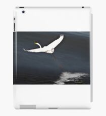 Flight iPad Case/Skin
