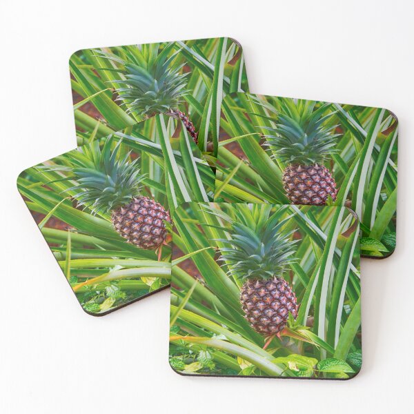 Artikelvorschau, Ananas entworfen und verkauft von mhall.