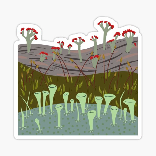 Item preview, Moss with Lichens designed and sold by microcosmicshop.