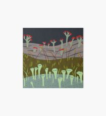 Moss with Lichens Art Board