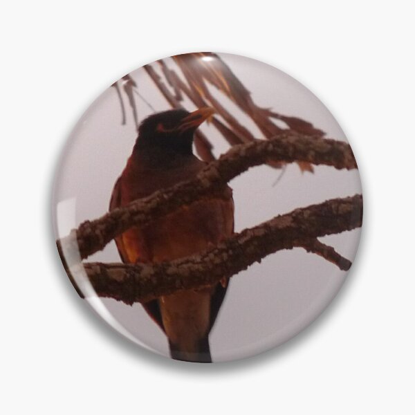 Item preview, The bird's sunset designed and sold by Merlinatia.