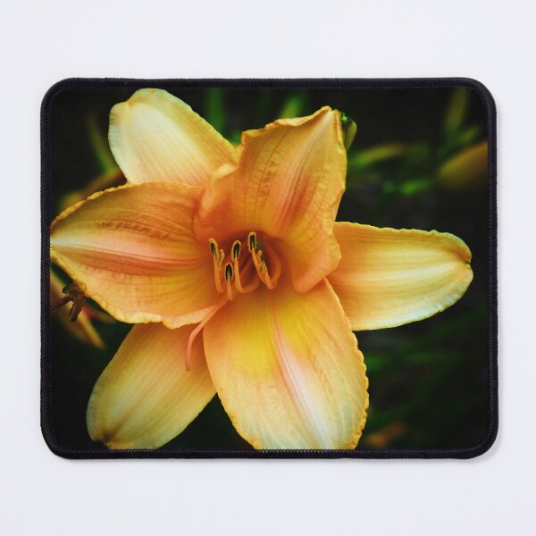 Item preview, Passionate designed and sold by Melanie Uadjit.
