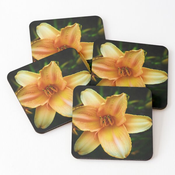 Item preview, Passionate designed and sold by Melanie Uadjit.