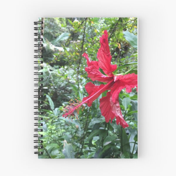 Item preview, Flor en la selva tropical de El Yunque Puerto Rico designed and sold by kkkaaatttiiieee.