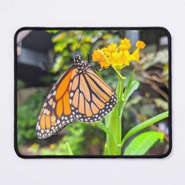Item preview, Orange Monarch Butterfly designed and sold by Shapes-Mania.
