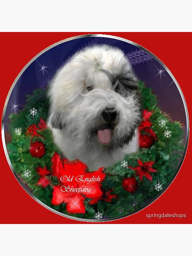old english sheepdog christmas