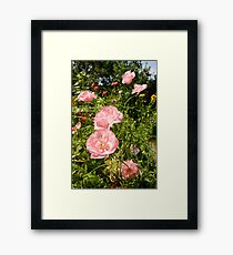 Cottage Garden Framed Print