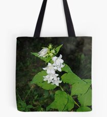 Path to Redmire Tote Bag