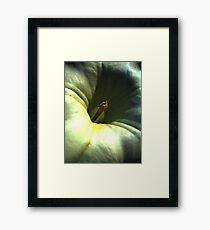 Macro Framed Print