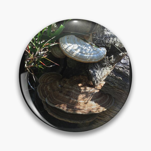 Item preview, Brown Fungii  designed and sold by KazM.