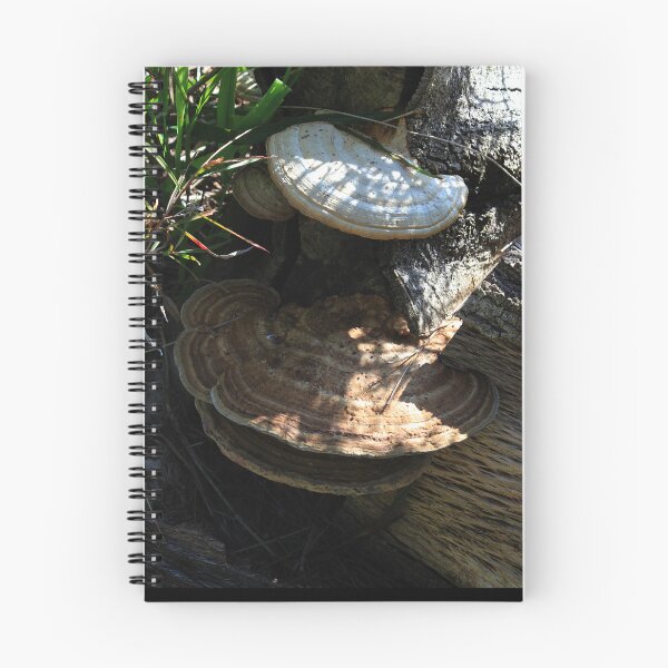 Item preview, Brown Fungii  designed and sold by KazM.